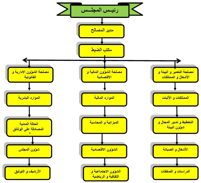 الهيكل التنظيمي